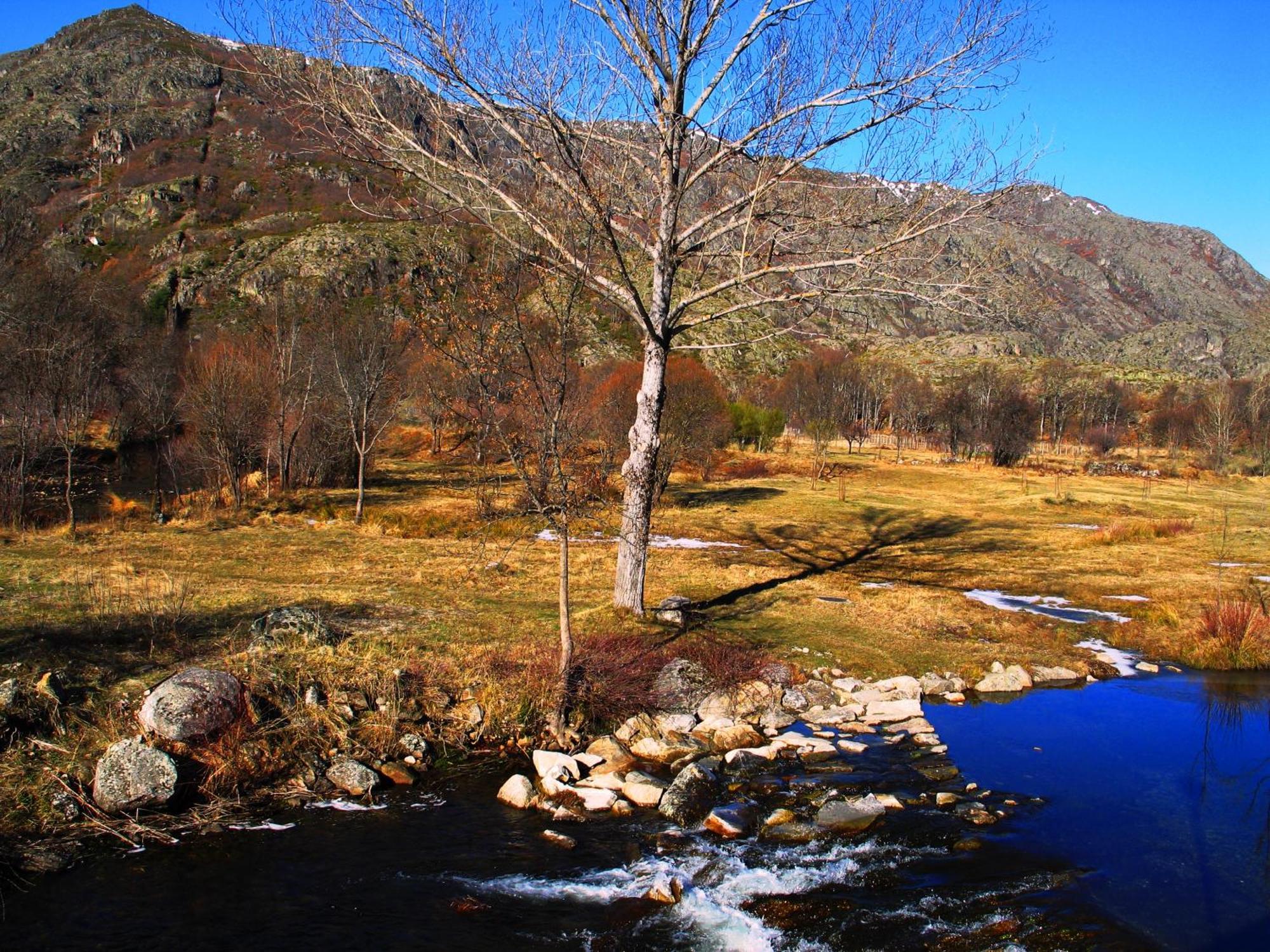 Auberge de jeunesse Martin - Sanabria *